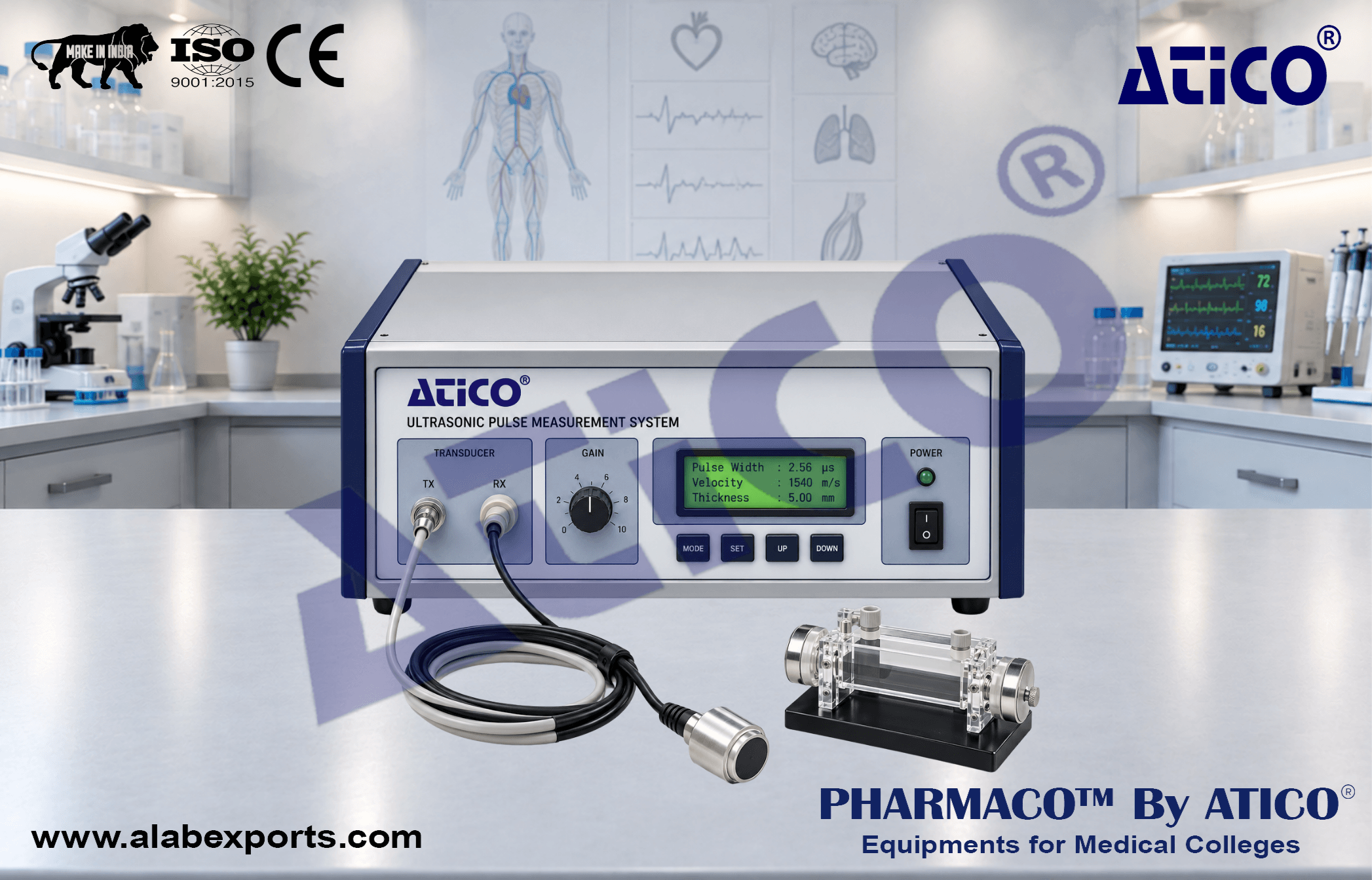 NonInvasive Blood Pressure System for Rodents for Physiology Lab