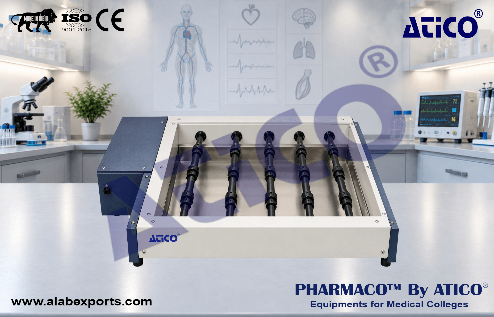 Forced Exercise Walking Wheel Bed for Physiological Research Instrumentation