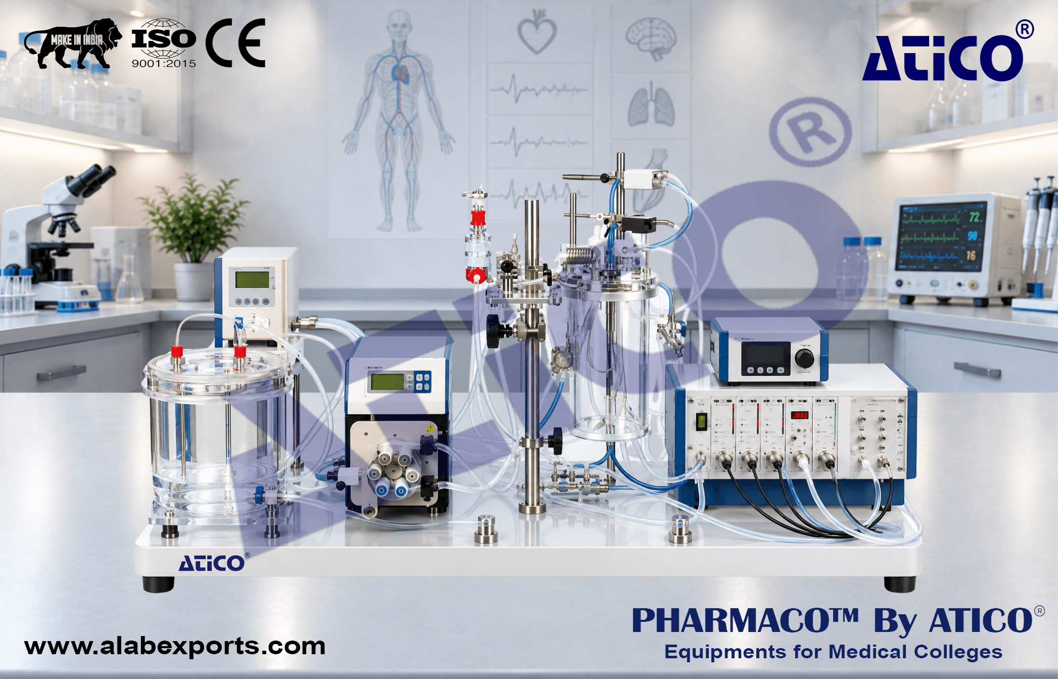 Core Isolated Perfused Lung System for Rabbit to Fetal Pig For Pharmacology Research Lab Equipment