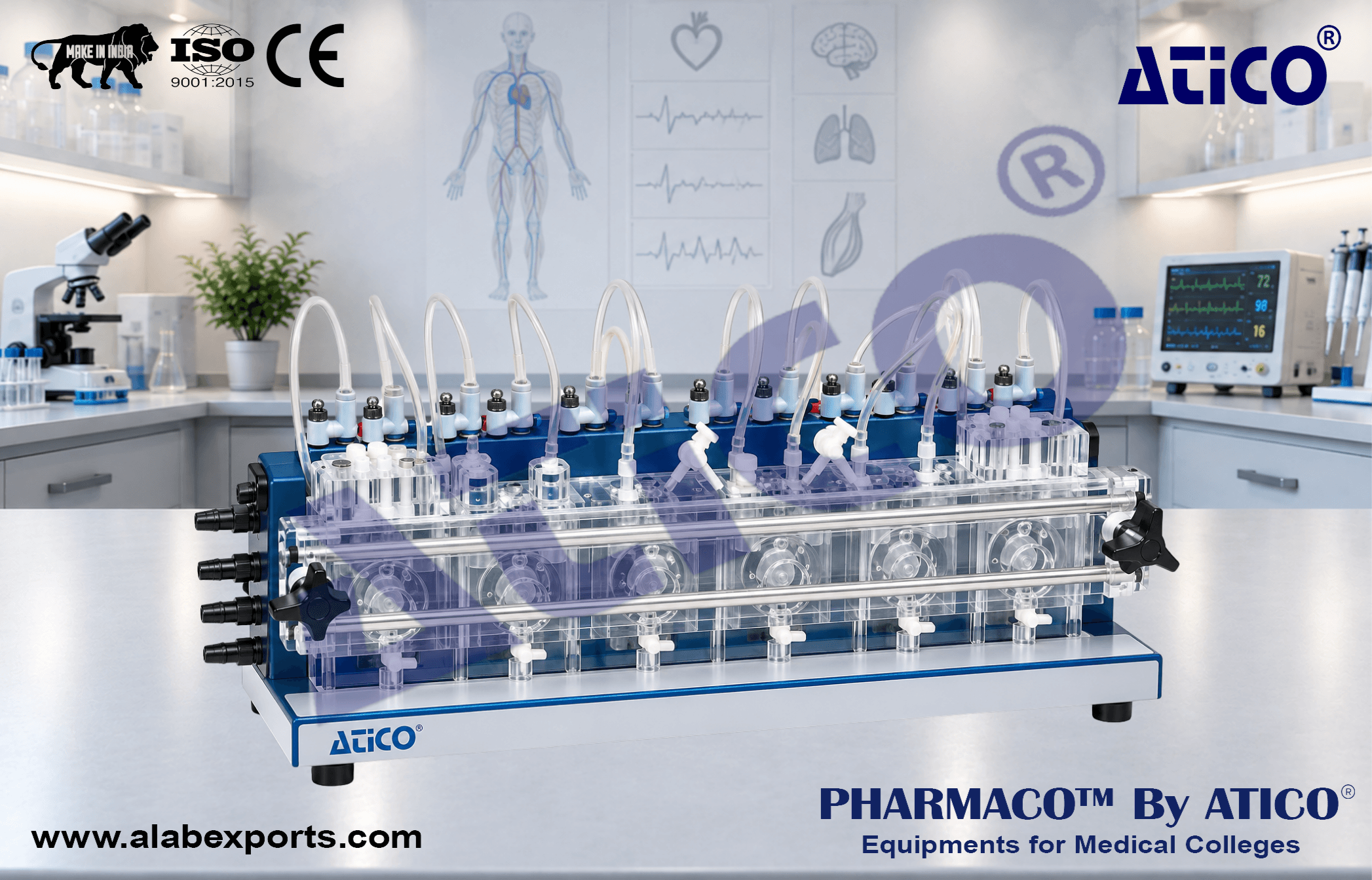 NaviCyte Vertical Ussing System For physiology Research Lab Equipment