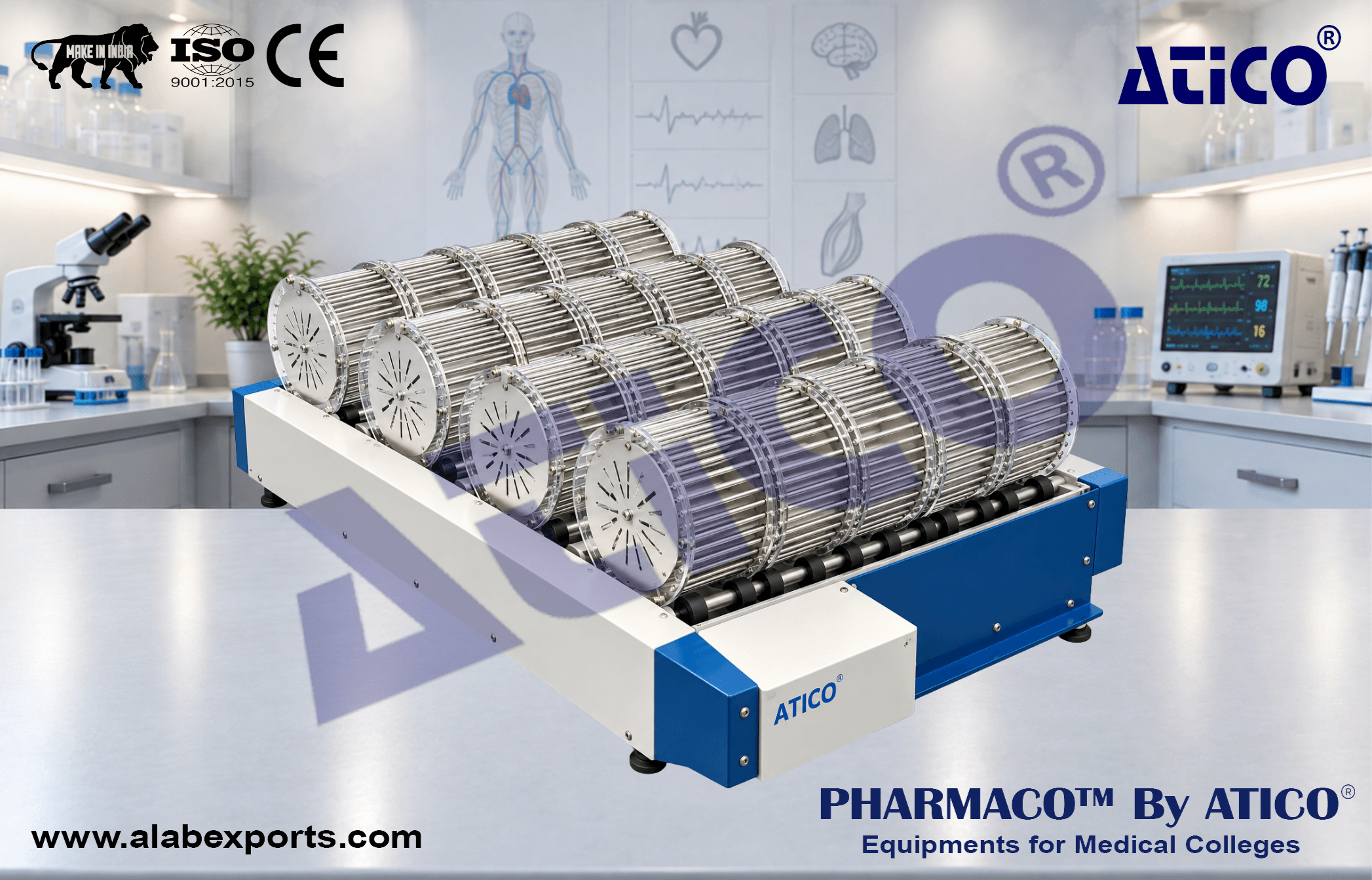 Forced Exercise Walking Wheel Bed For Animal Research Lab Equipment