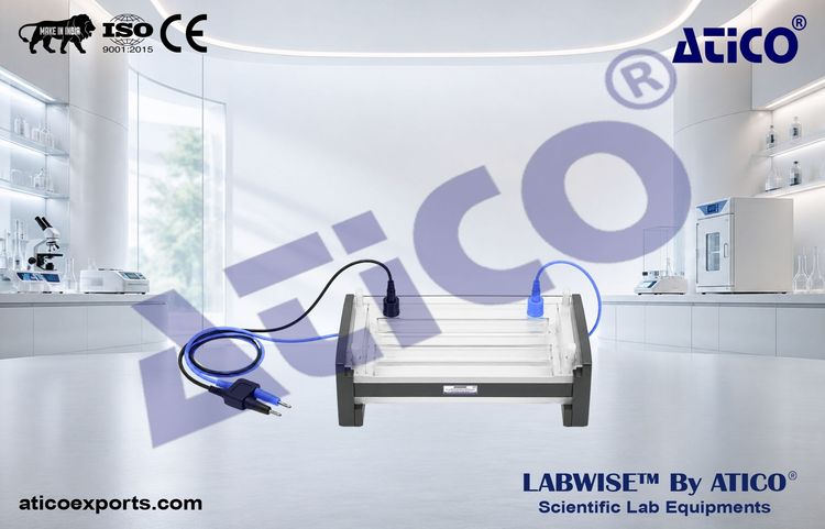 Cellulose Acetate Membrane Electrophoresis Unit ALB305