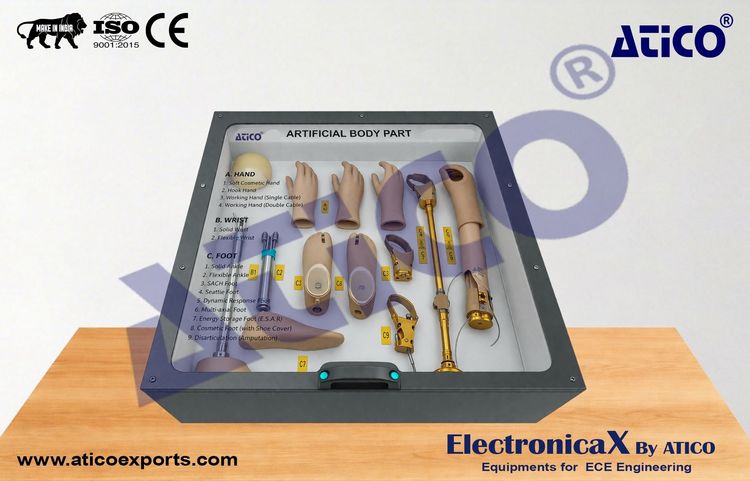 Artificial Body Part